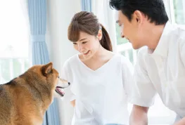 ペット可（相談）