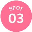 spot3